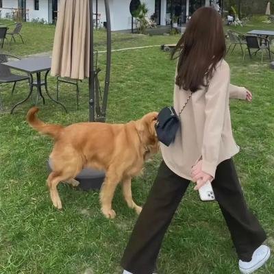 妳是我的姐妹